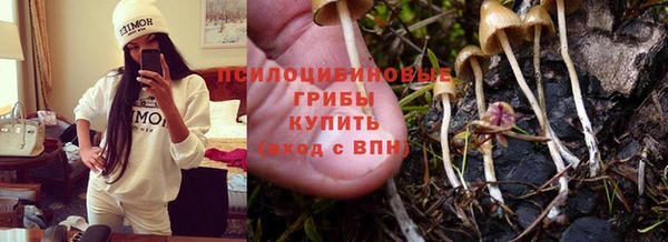 каннабис Ельня