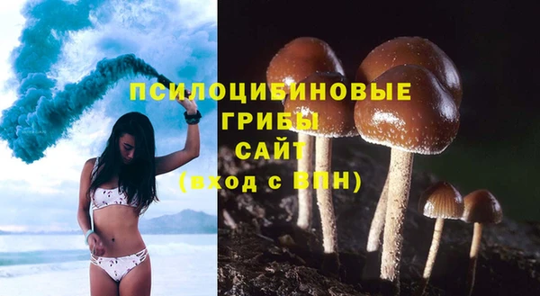 каннабис Ельня