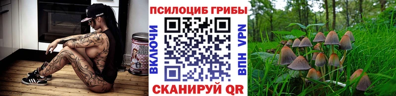 Псилоцибиновые грибы мухоморы  Купить закладки  Буй 